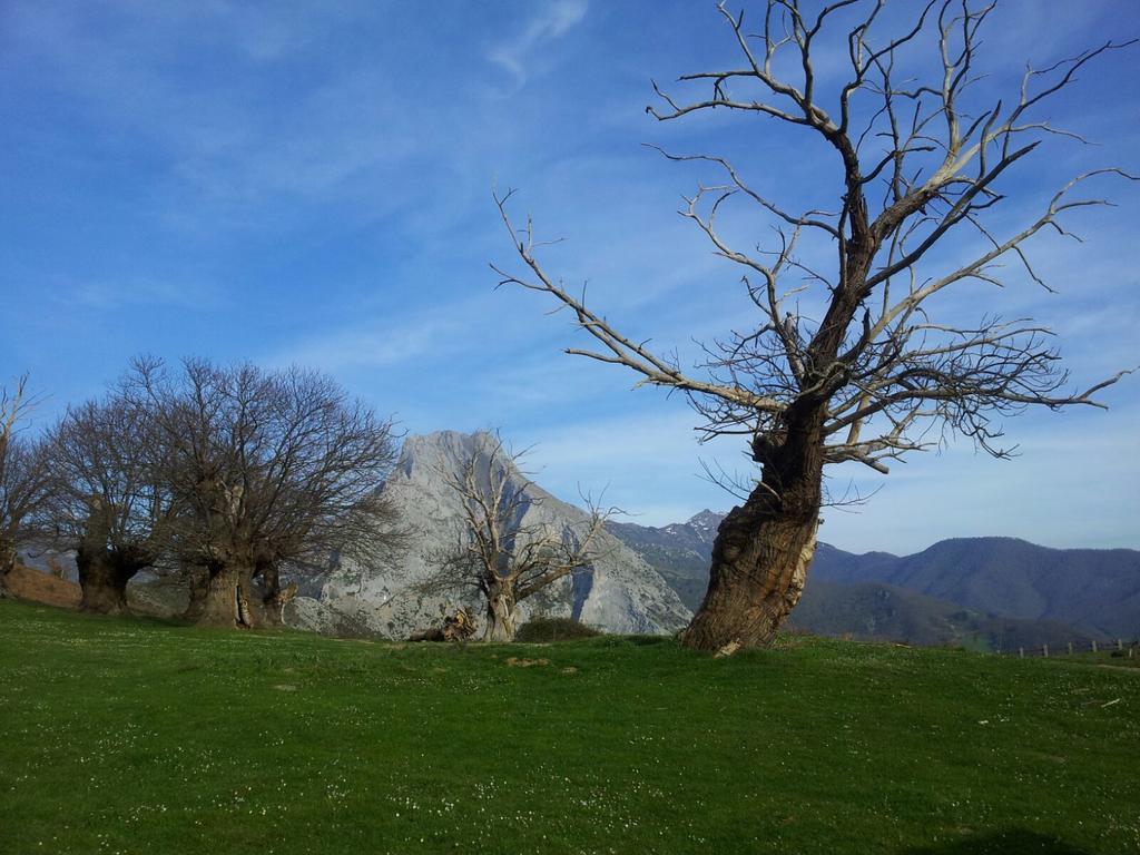 Casa Leny La Vega (Vega de Liebana, Cantabria)